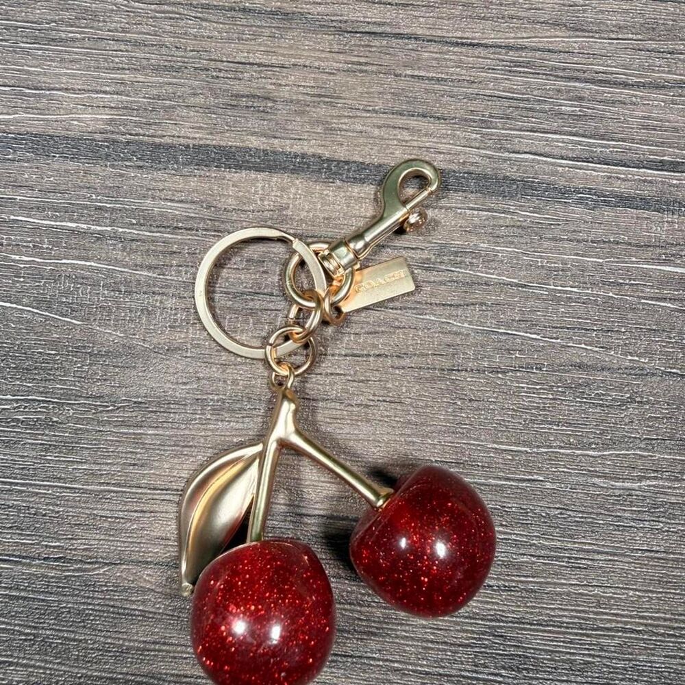 Coach Women's Red and Burgundy Accessory